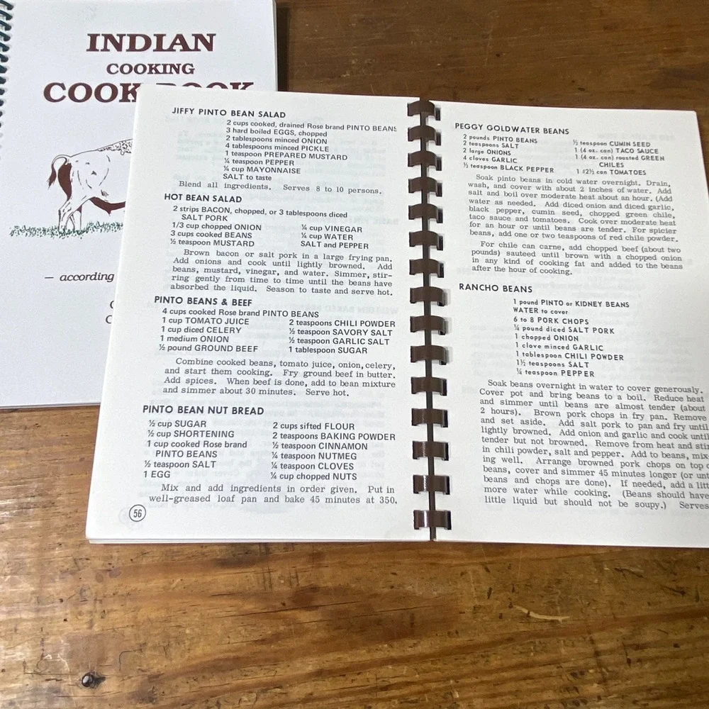 Vintage Arizona Cook Book & Indian Cooking Cook Book Lot Bruce Carlson Fischer